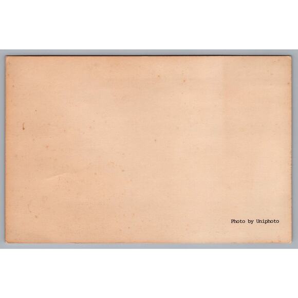 Presidents First Ladies 1989 Inauguration Photo Print Ronald Reagan George Bush - Picture 2 of 2